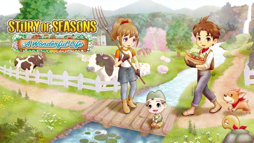 Story of Seasons A Wonderful Life