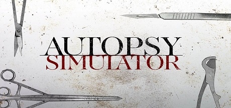 Autopsy Simulator PC